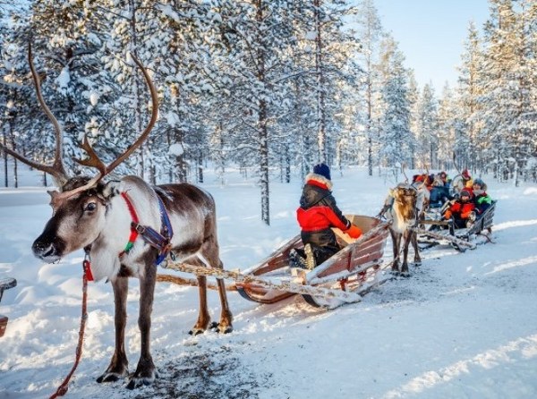 Lapland; Noel Baba'nın Evi Buz Kıran Gemisi ve Treehouse Igloo Konaklama