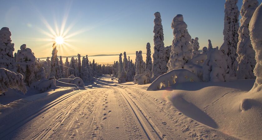 Lapland; Noel Baba'nın Evi Buz Kıran Gemisi ve Treehouse Igloo Konaklama