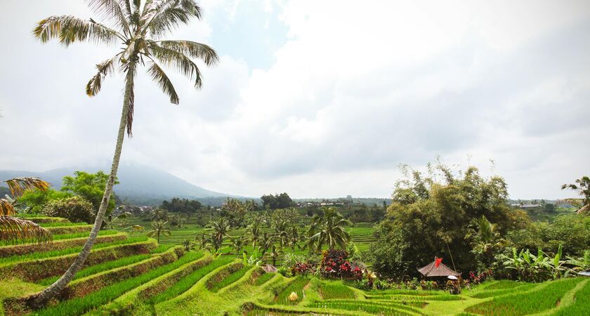 Tropikal Cennet Ubud & Bali (1)